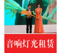 慶典禮儀 營造難忘時刻的藝術(shù)與服務(wù)